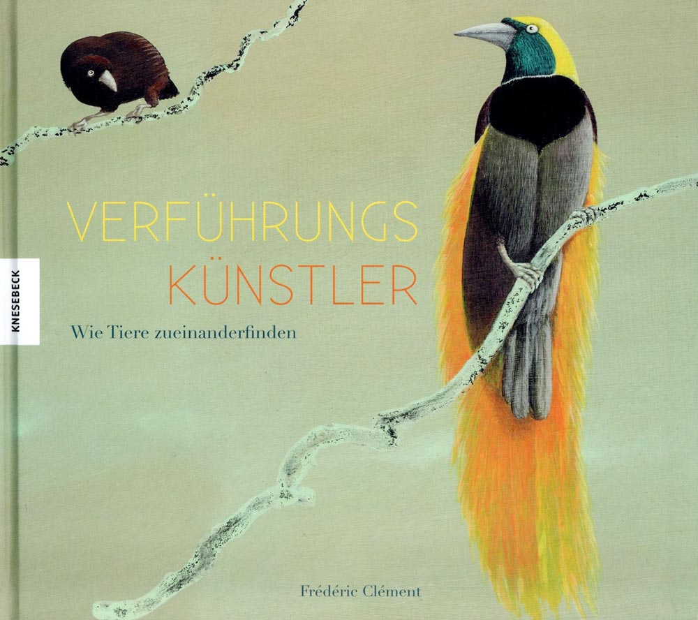 Verführungskünstler: Wie Tiere zueinander finden