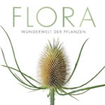 Zu sehen ist das Cover des Buchs 